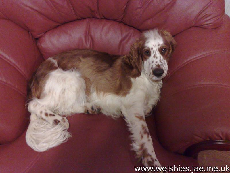 2009-12-20 11.jpg - This is MY chair